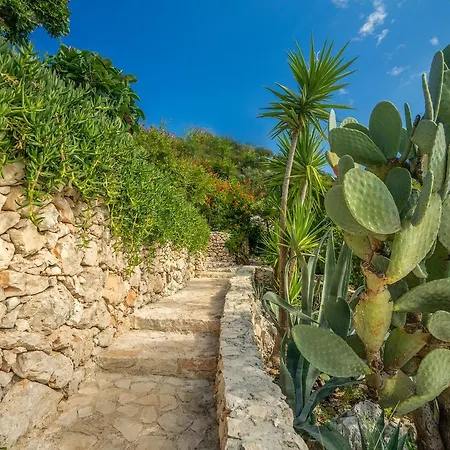 Villa Askos Stone - The Island Panorama *