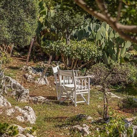 Willa Askos Stone - The Island Panorama *