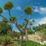 Askos Stone - The Island Panorama * Agios Nikolaos (Zakynthos)