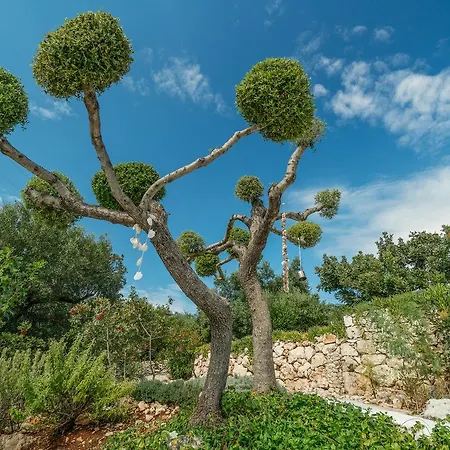 Askos Stone - The Island Panorama * Ajos Nikolaos